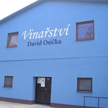 Vinarstvi David Osicka Apartment Velke Bilovice Bagian luar foto