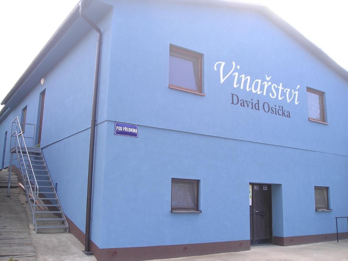 Vinarstvi David Osicka Apartment Velke Bilovice Bagian luar foto